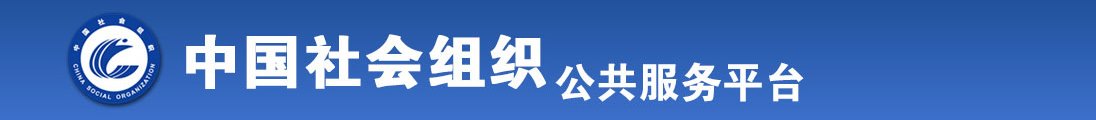 www.艹艹逼全国社会组织信息查询